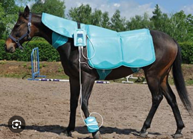 BIOMAG Magnetfeld Decke Lumina Vet, Biomag  Lumina Vet , Anna, Horse Blankets, Sheets & Coolers, Schorndorf