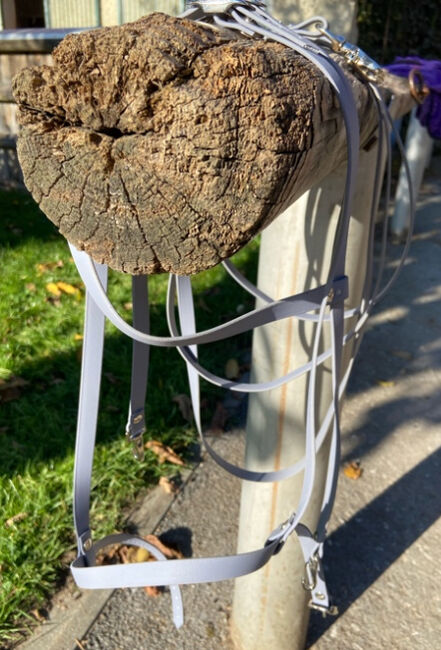 Biothane Zaumzeug, Stephanie , Bridles & Headstalls, Graz 