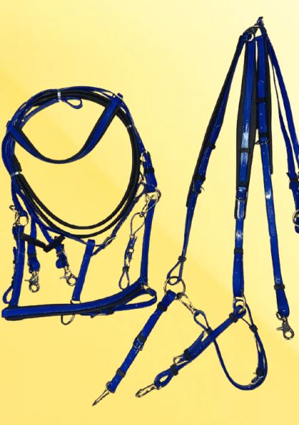 Ensemble bride, plastron et rênes en Biothane. RAID / endurance, Trotando Juntos , Maite (Productos Ecuestres Trotando Juntos S.L), Bridles & Headstalls, Palau solita y plegamans