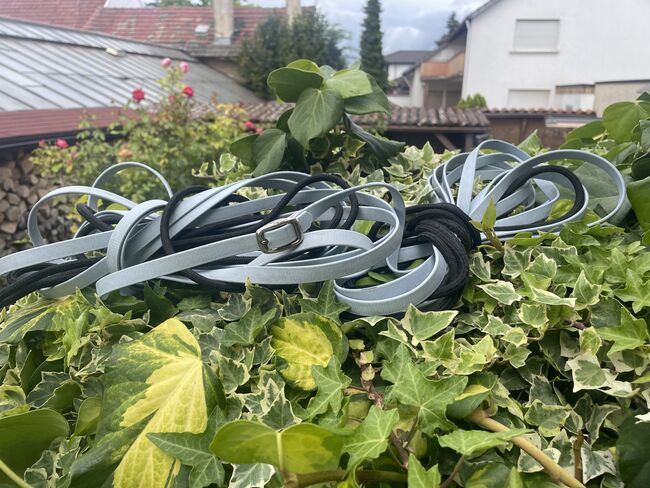 Biothane Doppellonge, hellblau, teilbar mit Seil, 16 m, unbekannt Doppellonge Biotonne, Beate Wittmann, Lunging, Philippsburg, Image 4