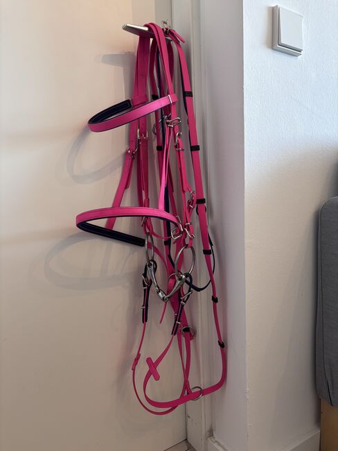 Biothanetrense, Zügel & Martingal in Pink, Katar, Bridles & Headstalls, Köln 