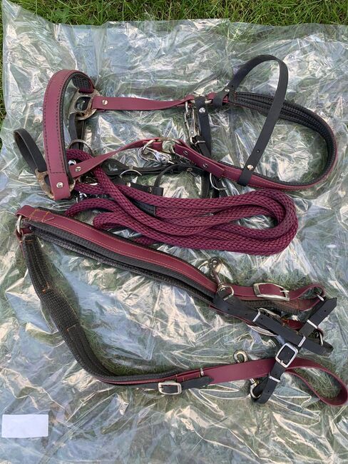 Biothane Set (Kopfstück, Zügel und Voderzug), Daniela, Bridles & Headstalls, Herford 