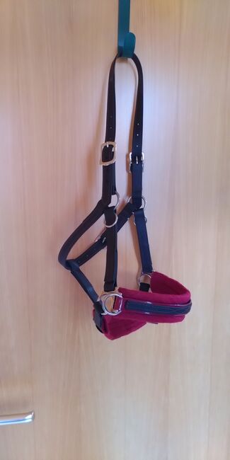 Sidepull aus Biothane für Isländer, Verena, Bitless Bridles, Dortmund, Image 3