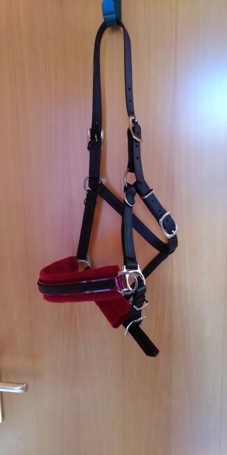 Sidepull aus Biothane für Isländer, Verena, Bitless Bridles, Dortmund