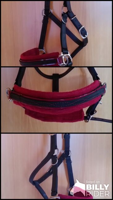 Sidepull aus Biothane für Isländer, Verena, Bitless Bridles, Dortmund, Image 4