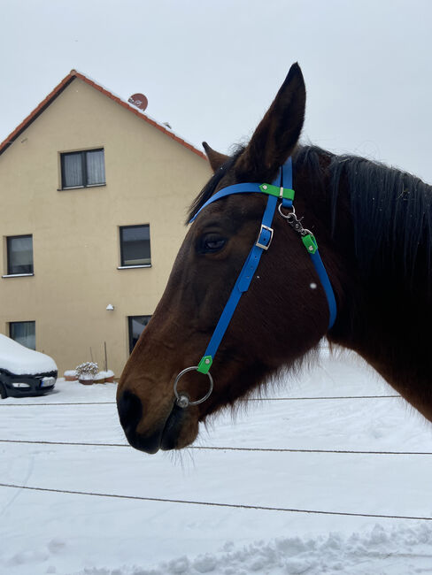 Biothane Trense, Kathrin, Bridles & Headstalls, Oberaurach, Image 2