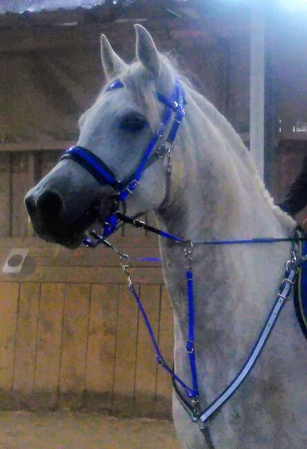 BIOTHANESET, TAJARA Horsewear , Natascha , Other, Roth