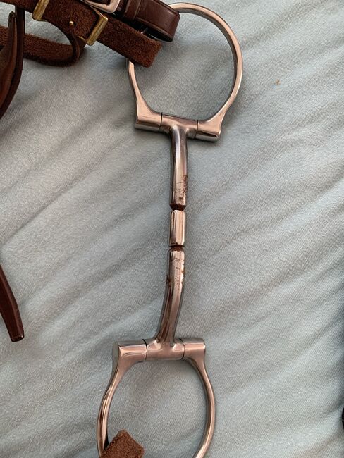 Gebiss einfach gebrochen, Katharina Leis, Horse Bits, Schwarzenbach