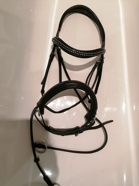 Bitless Bridle, Bittles Bridle Anna, Petra Helm , Gebisslose Zäumungen, Hannover, Abbildung 3