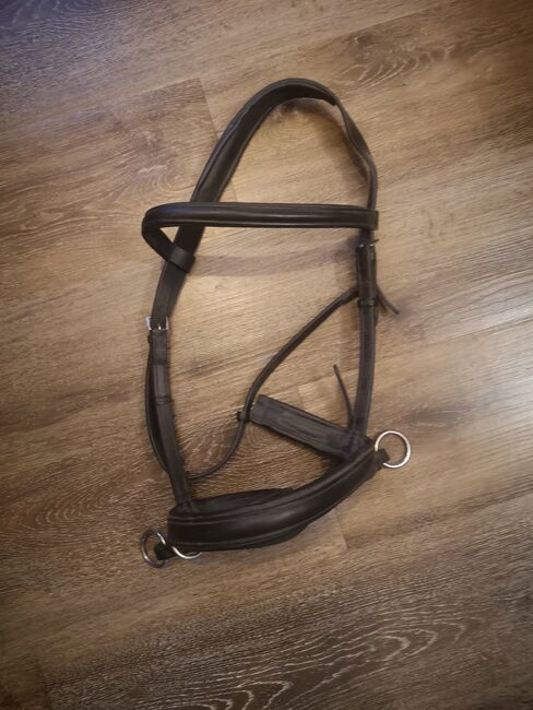 Gebisslose Trense schwarz WB, Isabella K. , Bitless Bridles, Mittweida , Image 2