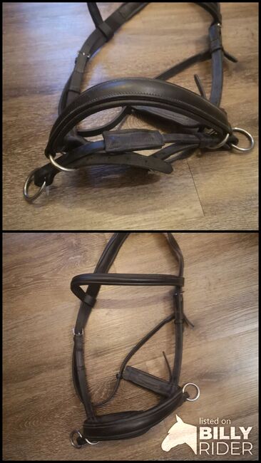 Gebisslose Trense schwarz WB, Isabella K. , Bitless Bridles, Mittweida , Image 3