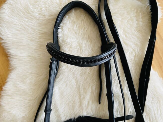 Gebisslose Zäumung, Bitless Bridle Gebisslose Trense, Anna Peitzker, Bitless Bridles, Göttingen, Image 2