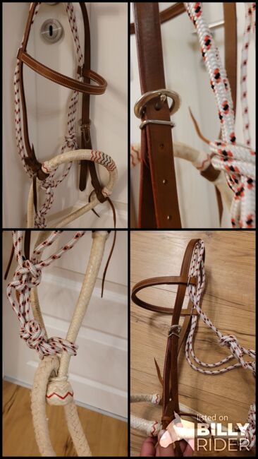 Gebisslose Trense Bosal, Tina , Bitless Bridles, Bernau, Image 7