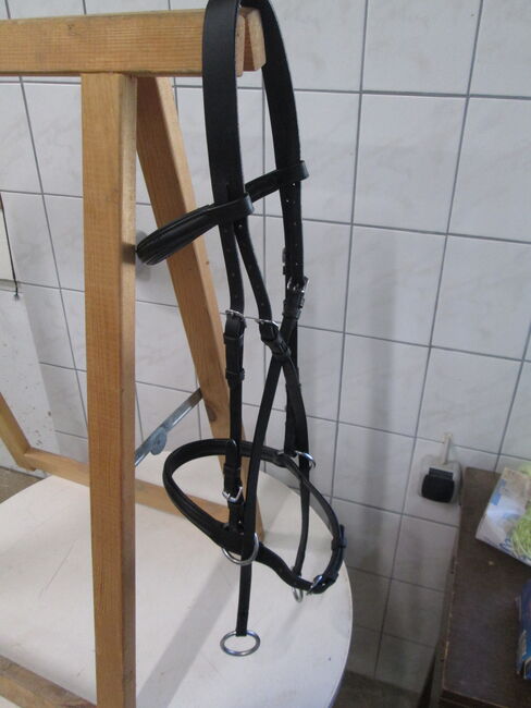 Gebisslose Trense Zäumung, Mandy, Bitless Bridles, Camburg, Image 4