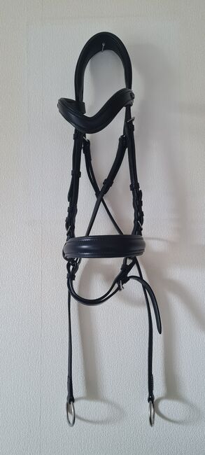 Gebisslose Trense, Roxi, Bitless Bridles, Wissen