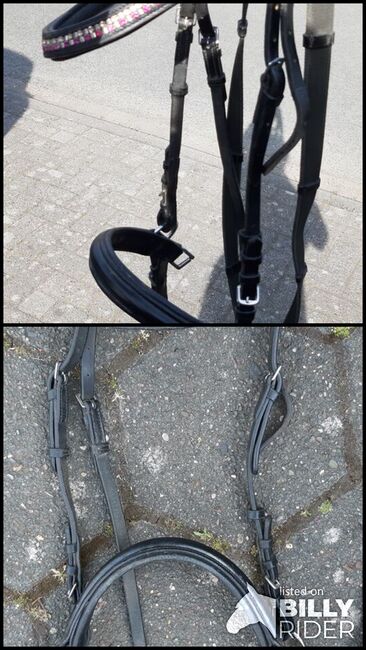 Gebisslose Trense von Kingscrown, Kingscrown, Jasmin, Bitless Bridles, Melle, Image 3