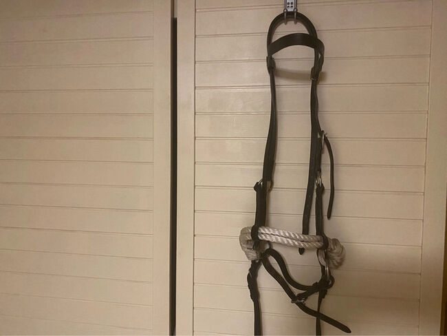 Gebisslose Trense Sidepull Zäumung VB/WB Groskorth, Judith, Bitless Bridles, Laubach, Image 9