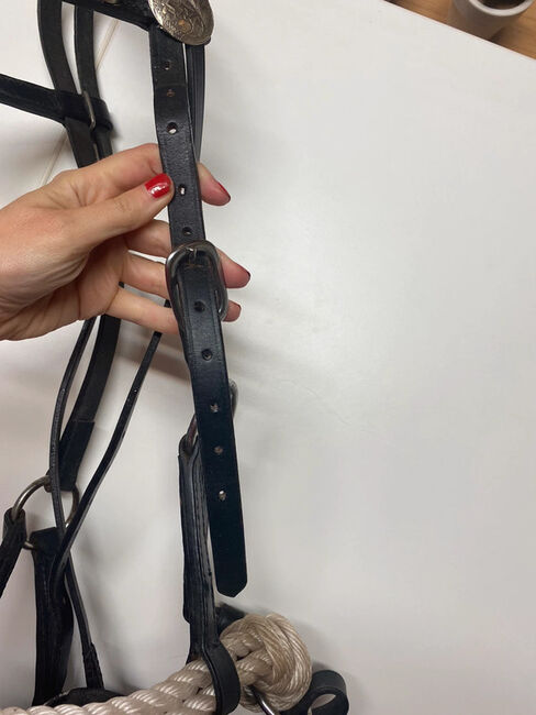 Gebisslose Trense Sidepull Zäumung VB/WB Groskorth, Judith, Bitless Bridles, Laubach, Image 5