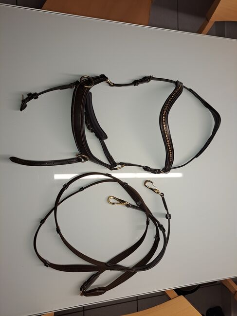 Gebissloser Zaum, QHP Trense Anatomical, Tasi, Bitless Bridles, Attiswil