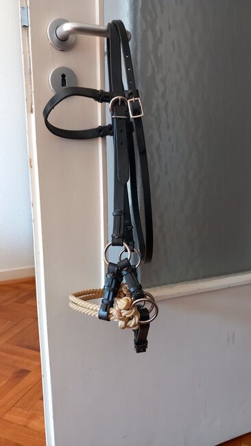 Gebisslose Trense, Marina Grochowski , Bitless Bridles, Düsseldorf