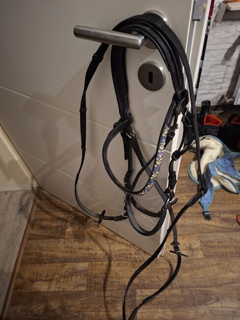 Gebisslose trense, Michelle wilms , Bitless Bridles, Eppstein 