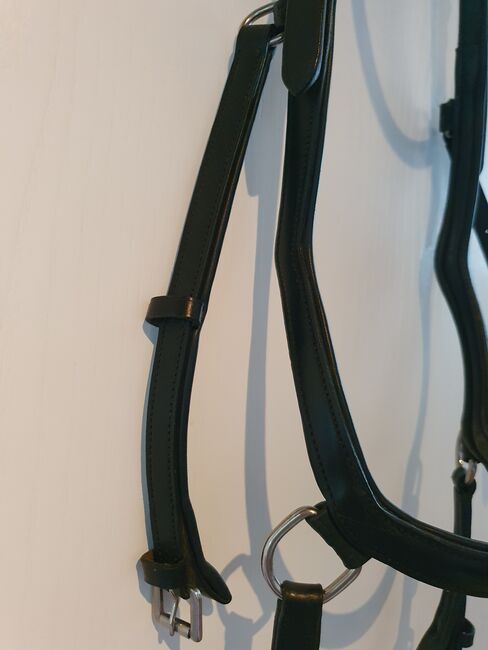 Gebisslose Zäumung/ Trense, WB, Felix Bühler, Felix Bühler , Nicole Carls , Bitless Bridles, Rosengarten, Image 6