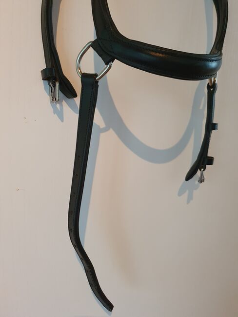 Gebisslose Zäumung/ Trense, WB, Felix Bühler, Felix Bühler , Nicole Carls , Bitless Bridles, Rosengarten, Image 4