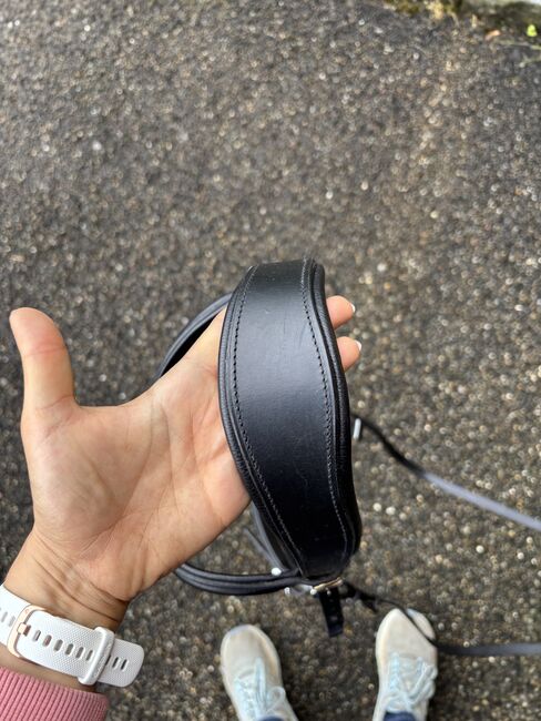 Gebussloser Zaum WB, FRA, Céline Leonardo, Bitless Bridles, Rüti ZH, Image 3