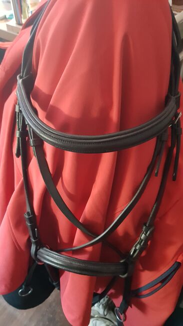 Bitless Bridle, Claridge House 3371-P, Petra, Bitless Bridles, Berlin