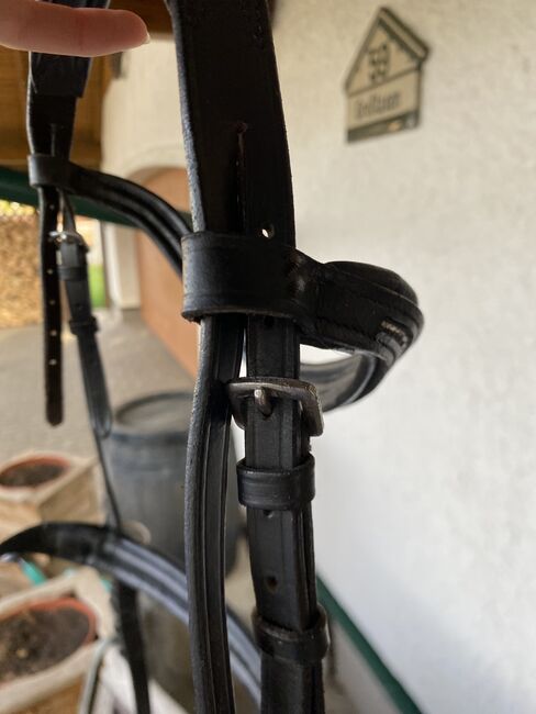 Gebissloses Zaum, Cob, Krämer Gebissloses Zaum, Elena Legl-Perzi, Bitless Bridles, Groß-Taxen, Image 5