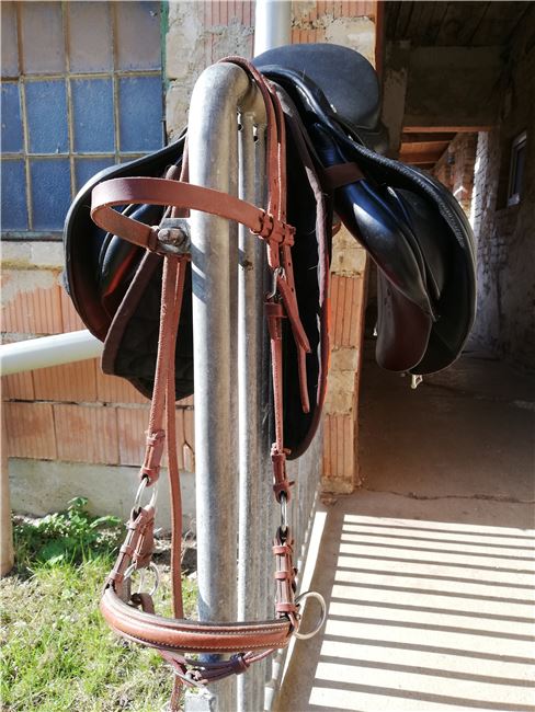 Gebissloser Zaum, Krämer Sidebull , Bernadette, Bitless Bridles, Bad Pirawarth