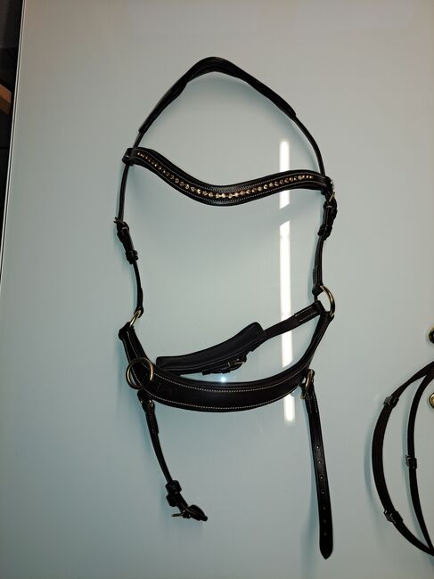 Gebissloser Zaum, QHP Trense Anatomical, Tasi, Bitless Bridles, Attiswil, Image 2