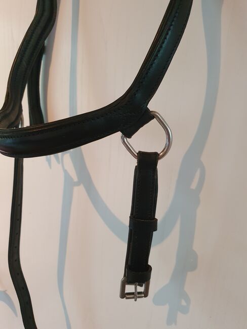 Gebisslose Zäumung/ Trense, WB, Felix Bühler, Felix Bühler , Nicole Carls , Bitless Bridles, Rosengarten, Image 3