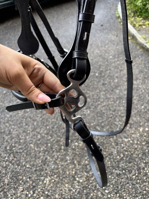 Gebussloser Zaum WB, FRA, Céline Leonardo, Bitless Bridles, Rüti ZH, Image 2