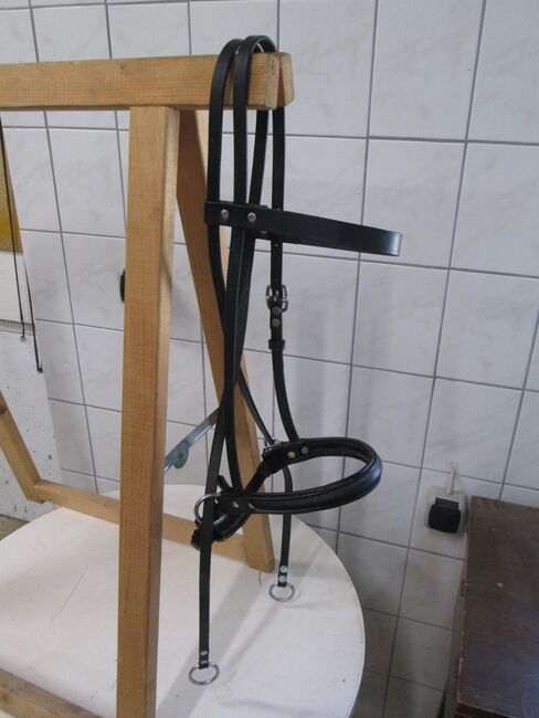 Gebisslose Trense Zäumung WB Full schwedischer Reithalfter, Mandy, Bitless Bridles, Camburg