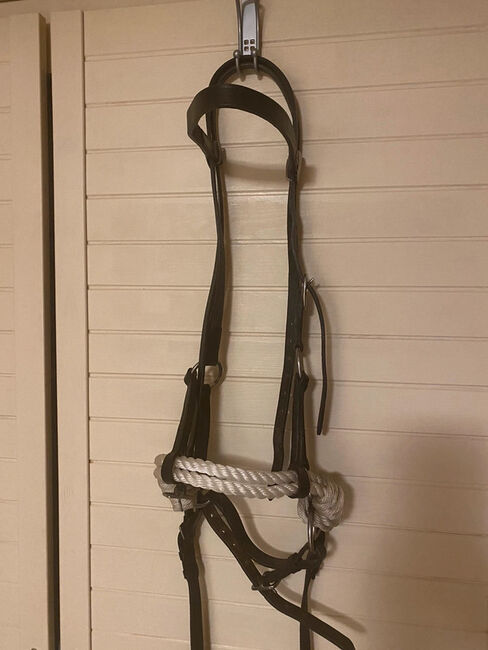 Gebisslose Trense Sidepull Zäumung VB/WB Groskorth, Judith, Bitless Bridles, Laubach, Image 10