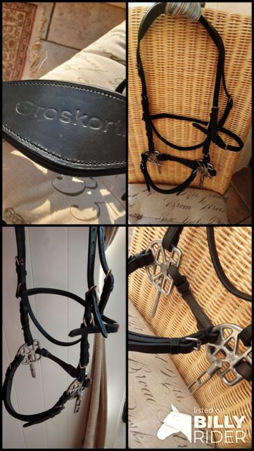 Gebissloses Star Bridle, Star Bridle / Grosskorth Kopfstück Gebisslos, Speier, Bridles & Headstalls, Inzigkofen, Image 5