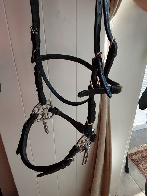 Gebissloses Star Bridle, Star Bridle / Grosskorth Kopfstück Gebisslos, Speier, Bridles & Headstalls, Inzigkofen, Image 2