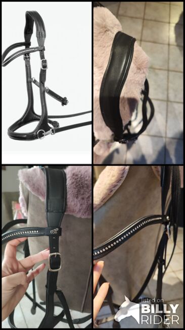 Gebisslose Trense USG, USG, A.E., Bitless Bridles, Sibbesse, Image 5