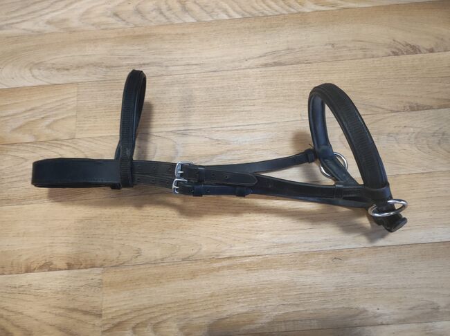 Gebisslose Trense Pony, Loesdau, Petra R, Bitless Bridles, Annaberg-Buchholz