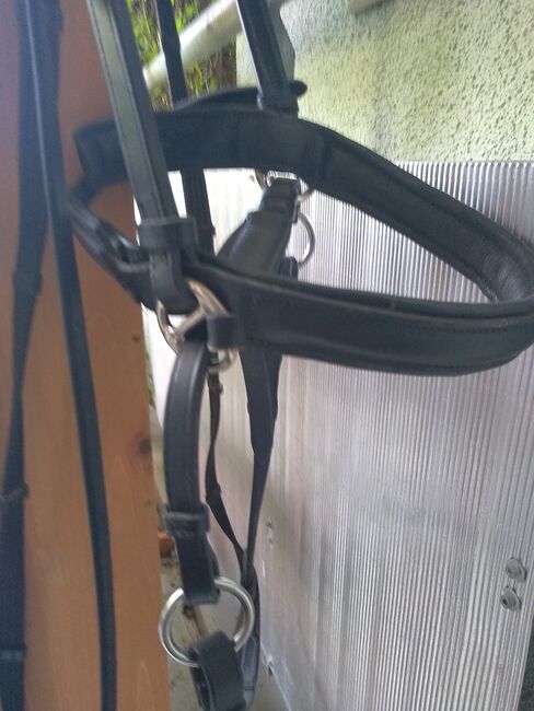 Gebisslose Trense, Andrea, Bitless Bridles, Gottmadingen, Image 2