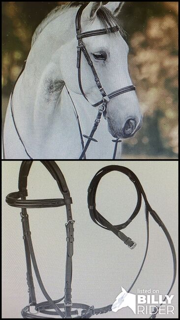 Gebisslose Trense, Mirjam, Bitless Bridles, Kemmath, Image 3