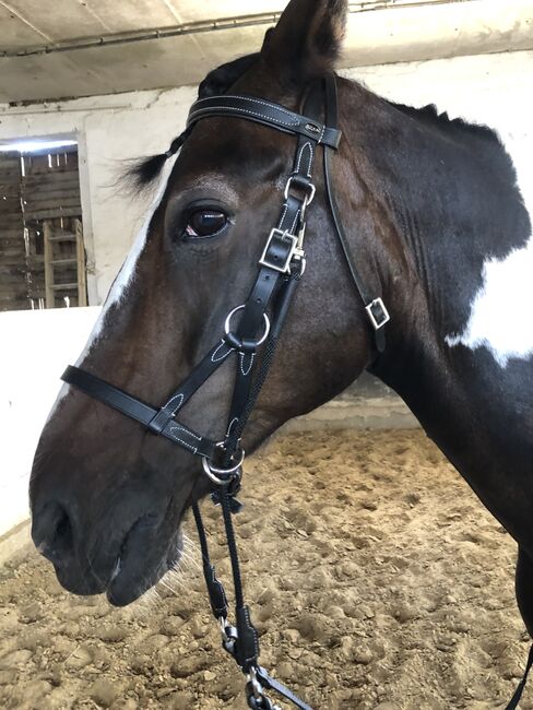 Gebisslose Trense, Kerstin , Bitless Bridles, Kloster Lehnin, Image 3