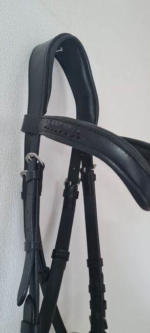 Gebisslose Trense, Roxi, Bitless Bridles, Wissen, Image 3