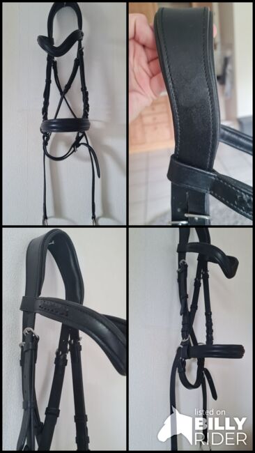 Gebisslose Trense, Roxi, Bitless Bridles, Wissen, Image 5