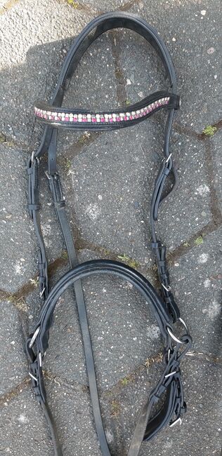 Gebisslose Trense von Kingscrown, Kingscrown, Jasmin, Bitless Bridles, Melle, Image 2