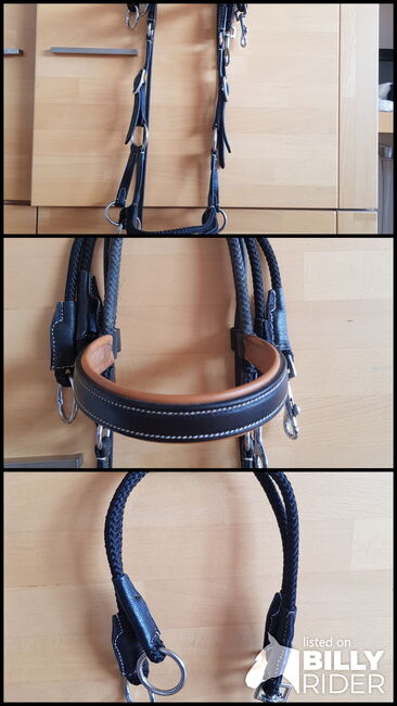 Gebisslose Trense Wb, Bettina, Bitless Bridles, Waiblingen, Image 4