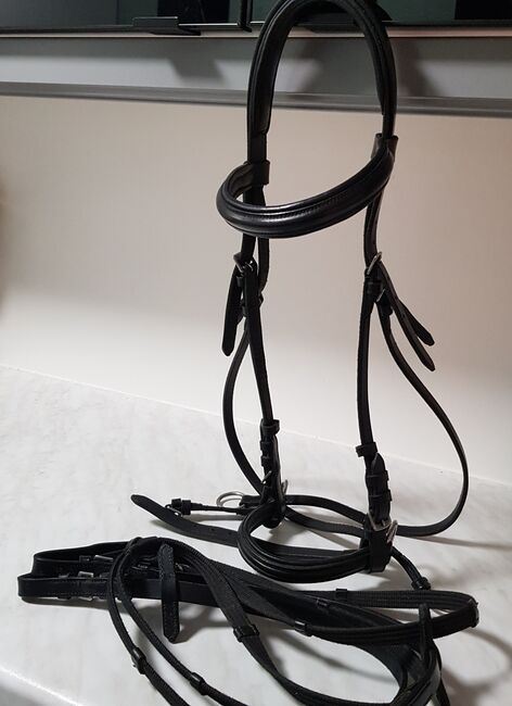 Gebisslose Trense Wb, Nicht bekannt, Bettina, Bitless Bridles, Waiblingen