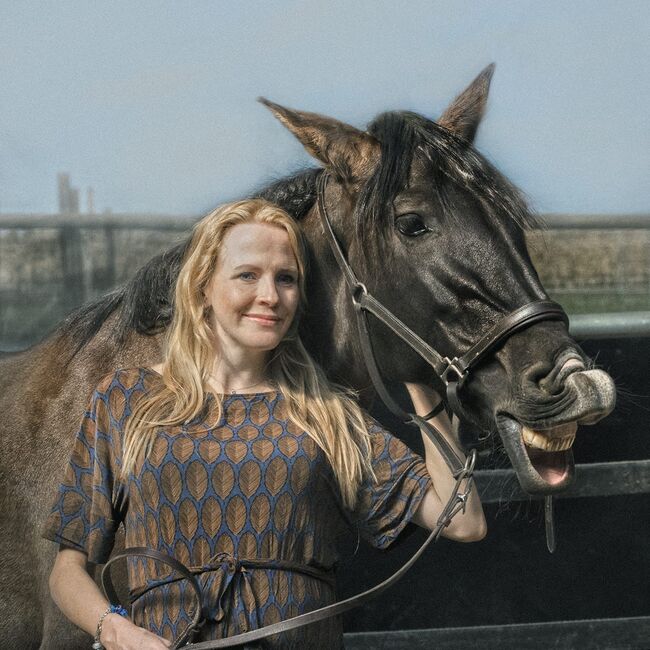 Black Beauty sucht ihren Menschen, Valerie Schütz , Konie na sprzedaż, Korneuburg , Image 5