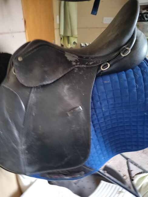 Black Collegiate Dignitary 17.5 GP saddle, Collegiate Dignitary, Kathryn Archard, Pozostałe siodła, Nenagh, Image 4
